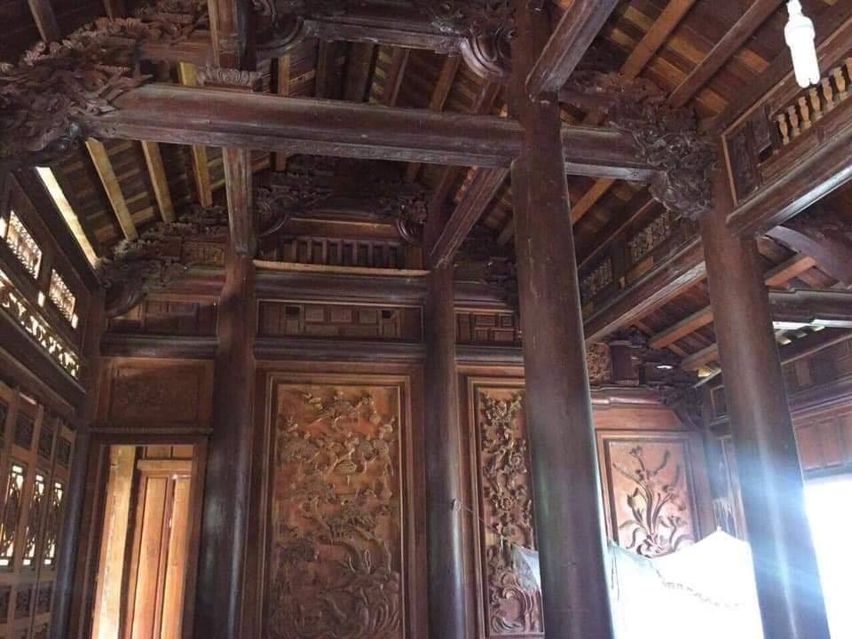 Gỗ táu là gì? Mọi thứ bạn cần biết Nha Co Truyen Go Tau