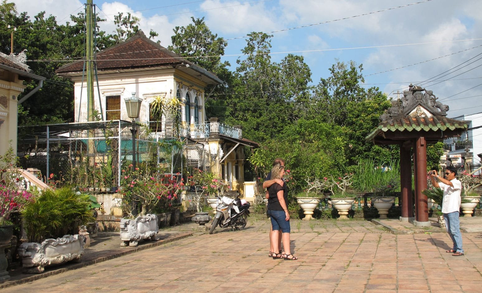 Cay Xuong Rong Nha Co Binh Thuy