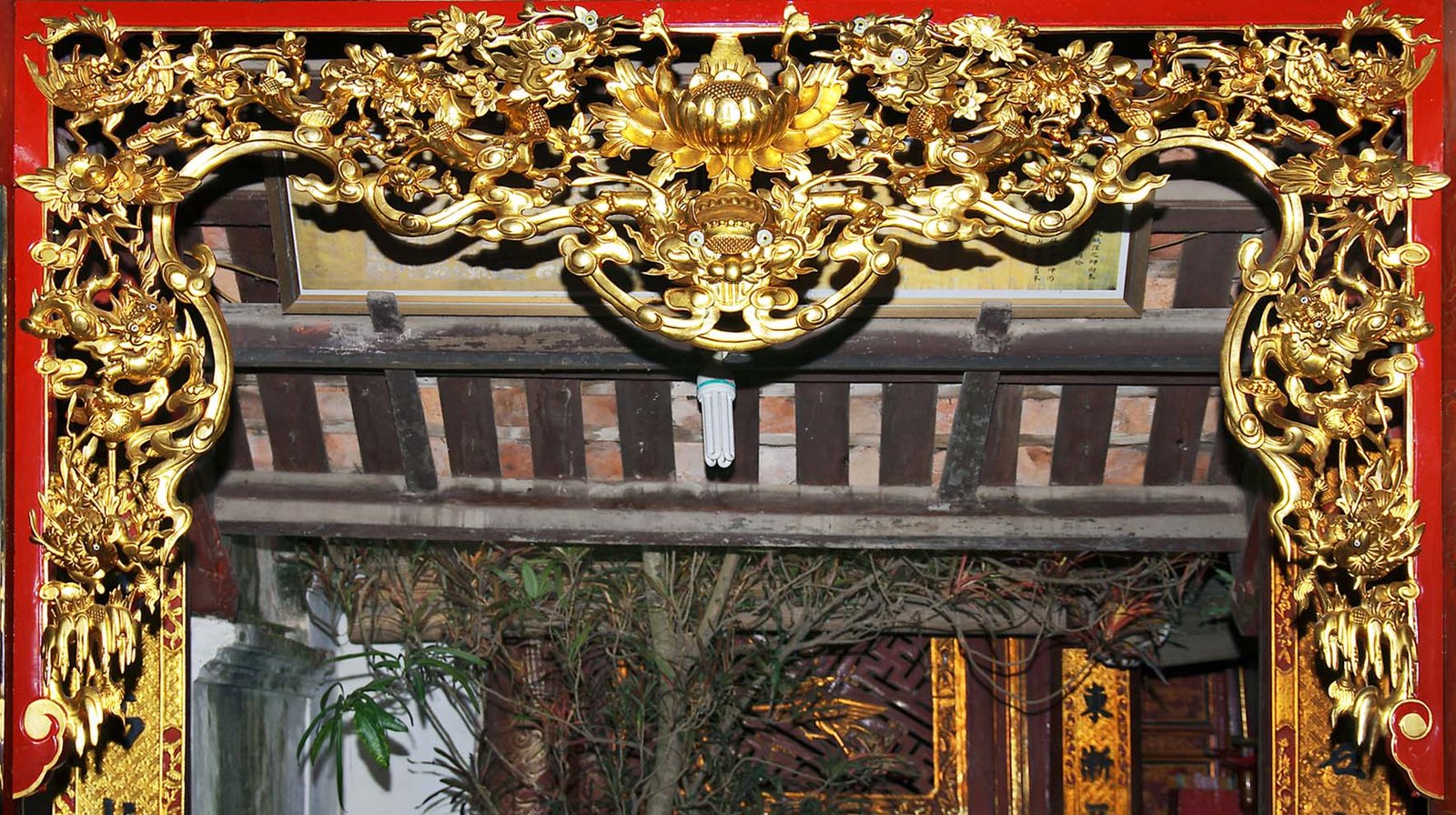 Cửa võng là gì? Mọi thứ bạn cần biết Cua Vong La Gi